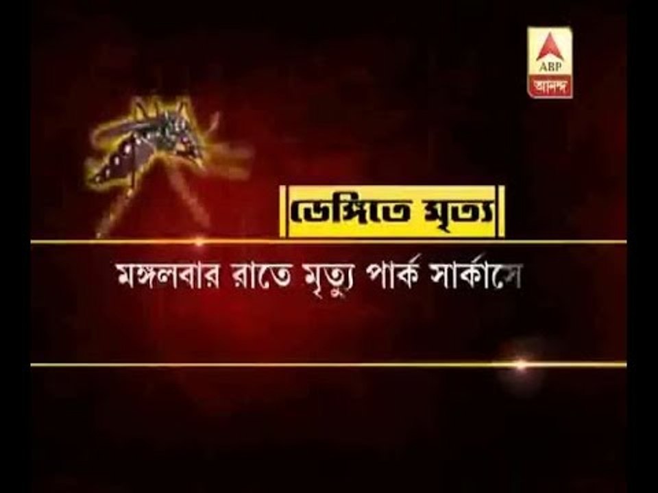 Bengal tops in Dengue death in India, says Central reports