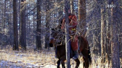 Central Asia-2-Wolf And Nomad-20161220