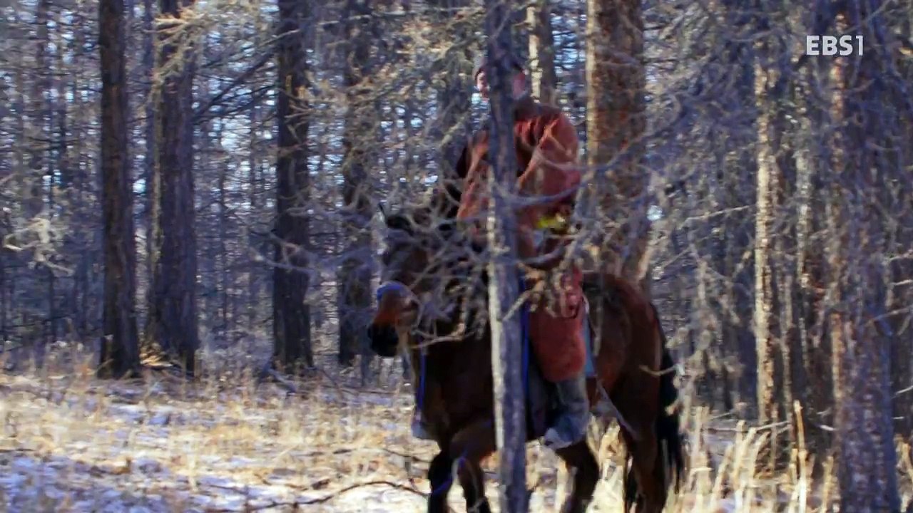 Central Asia-2-Wolf And Nomad-20161220