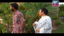 Babul Ki Duayen Leti Ja - Episode 35 on Ary Zindagi in High Quality - 21st December 2016