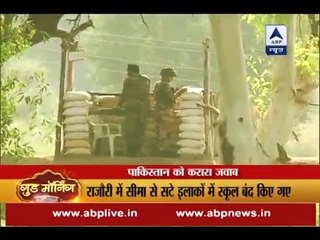 J-K: BSF soldier killed in ceasefire violation by Pakistan in RS Pura