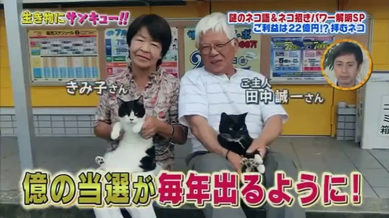 生き物にサンキュー トコトン掘り下げ隊 ネコの幸せパワーsp 161221 動画 Dailymotion