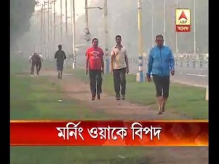 Walk to stay fit, but not in the early morning because at that time pollution is high, so