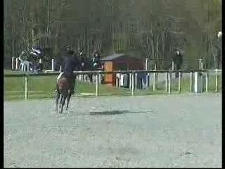 Orpheo des chaumes 1