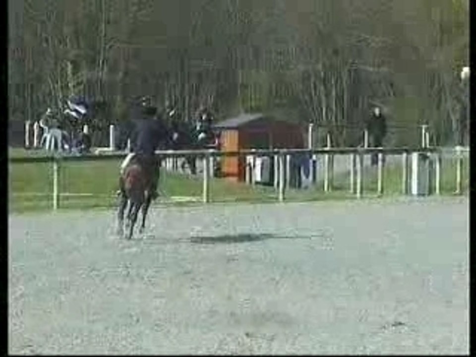 Orpheo des chaumes 1