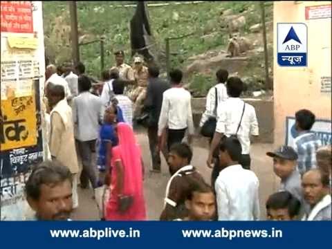 ABP News special l Ground Zero report from Satna district where 10 people killed in temple stampede