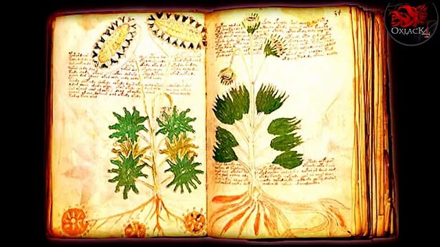 EL LIBRO MÁS MISTERIOSO DEL MUNDO EL MANUSCRITO VOYNICH @OxlackCastro