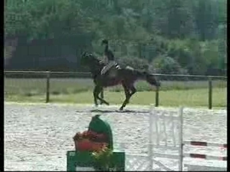 Orpheo des chaumes 2