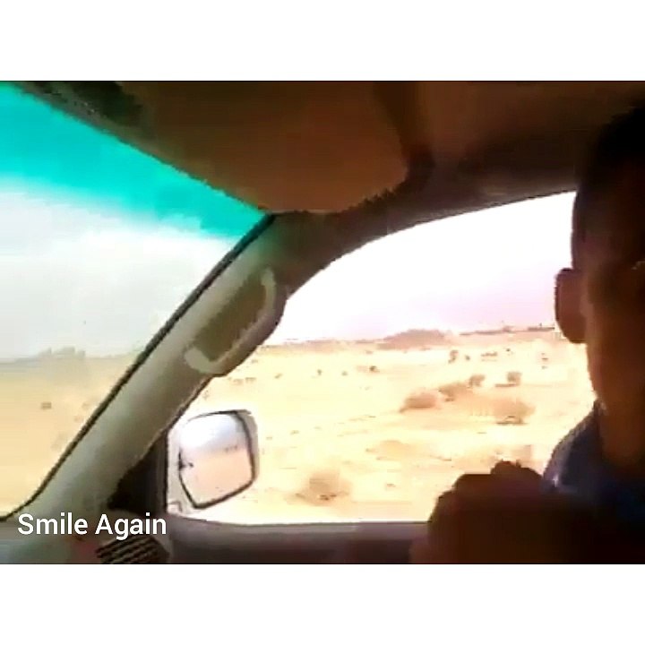 Ever Seen A Camel Catch.