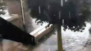 Funny Rain