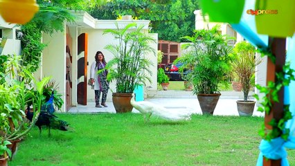 Baji Irshad (Episode 23)