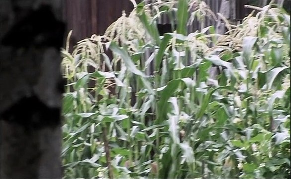 Девять жизней Нестора Махно (2006) - 11 серия смотреть онлайн сериал россия