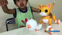 Zoomer Kitty Whiskers The Orange Tabby Spin Master Unboxing and Play Ryan ToysReview