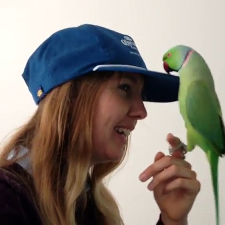 Me and My Links ( Fun019
