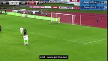 Jakub Blaszczykowski goal - VfL Wolfsburg - Saint Étienne