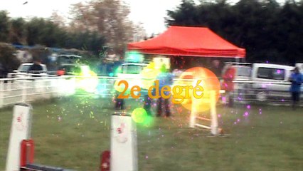 Concours Juno :  Aulnay du 12 novembre 2016