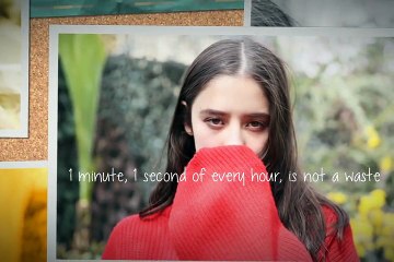 Beautiful Sunflower (Kino-Luka) 161222