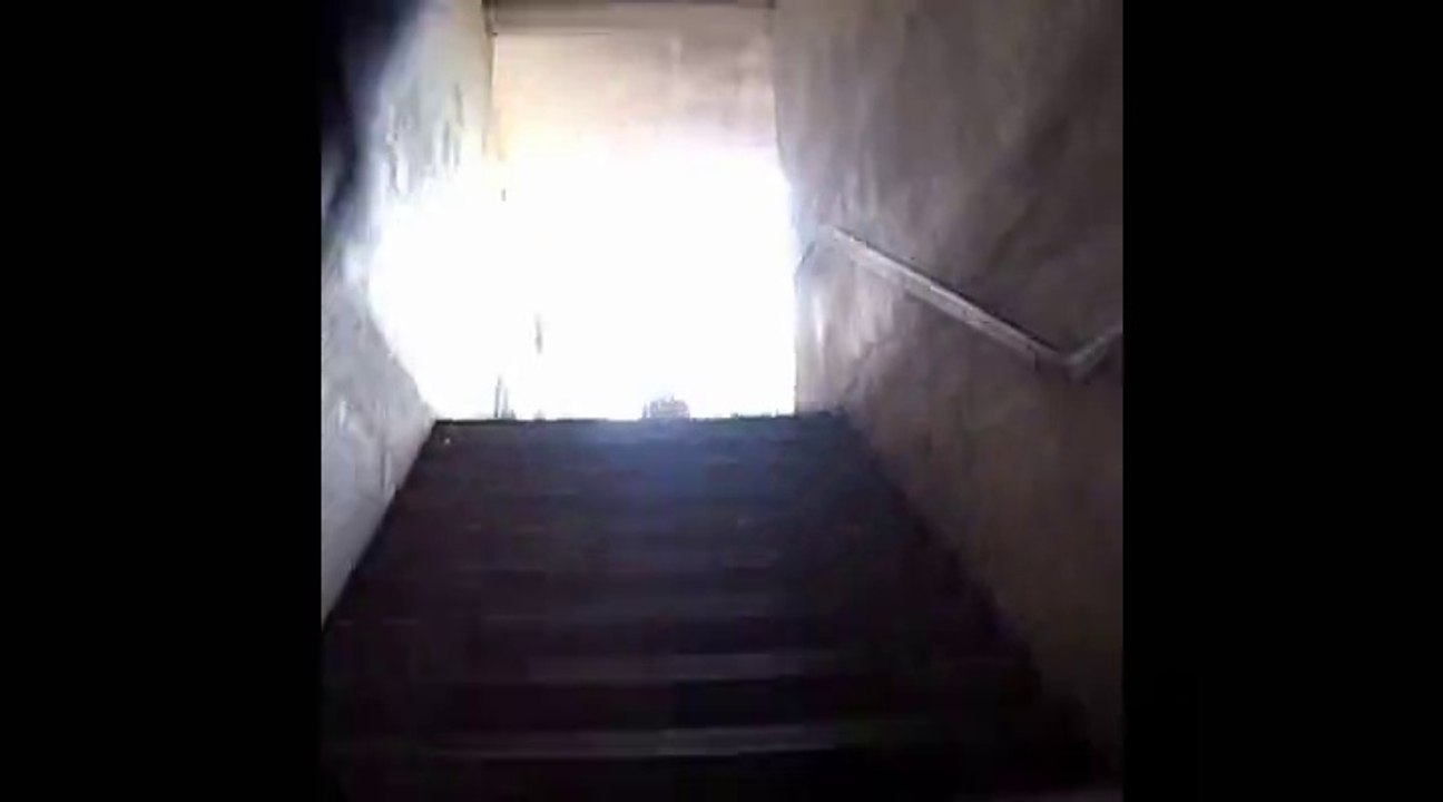 Trail VTT bois Bergeonnerie Joué (37)