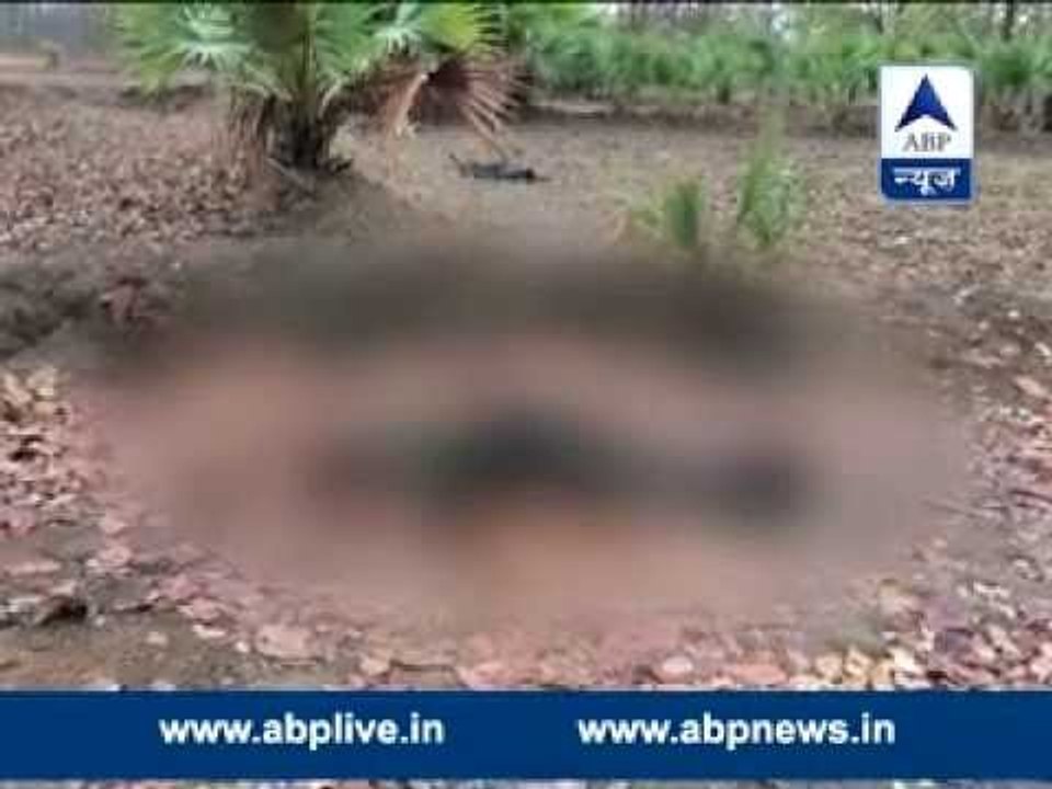 Sukma Naxal Attack: Martyrs' bodies not removed from jungle