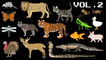 Animals Collection Volume 2 - Farm Animals, Mammals, Pets, Reptiles - The Kids' Picture Show