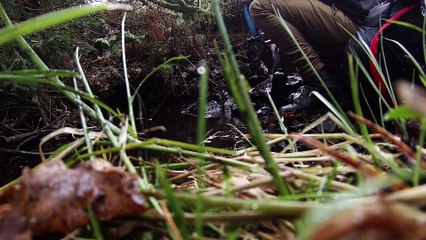 Eine Nacht im Vogelsberg