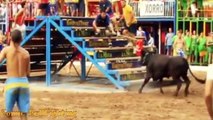 Best funny videos _ Funny bullfighting festival in Portugal _ Funny crazy bull attacks people #6