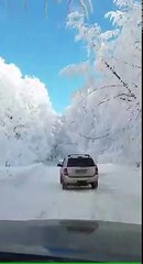 what a GREAT view with best voice