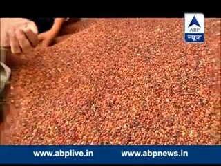 BAD NEWS: Sharp hike in price of pulses