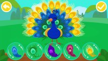 Learn Animal Traits and Behaviors | Friends of the Forest | Kids & Baby games by Babybus
