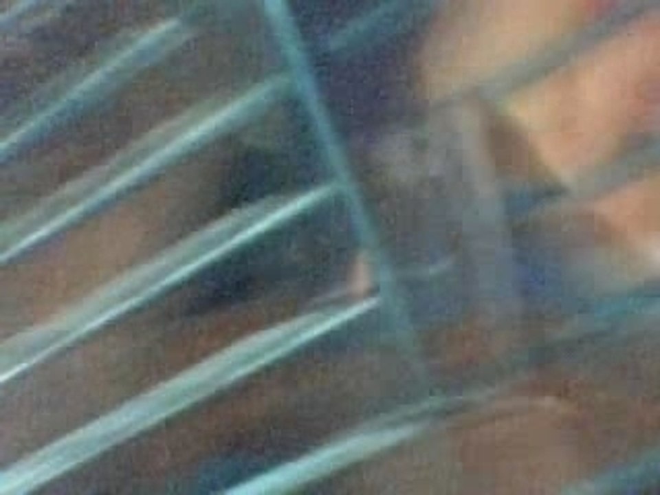 Caolan et Soa endormis