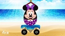 New Surprise Eggs For Kids, Mickey Mouse Donal Duck Surprise Eggs, Video for Kids