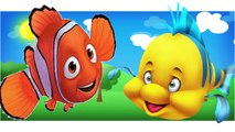 Finding Nemo Finger Family Collection Nemo Cartoon Animation Nursery Rhymes For Children
