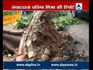 One dies as tree falls on an auto in Delhi