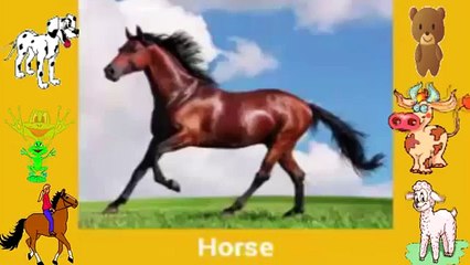 تعليم اسماء الحيوانات - Learning Animals For Toddlers