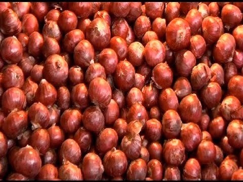 Onion prices go through the roof in Delhi, prices expected to rise further in coming days