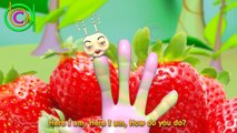 Cute Ant Finger Family | Animal Finger Family| Daddy Finger Nursery Rhymes for Kids