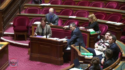 Budget rectificatif 2016: les écologistes s'abstiennent