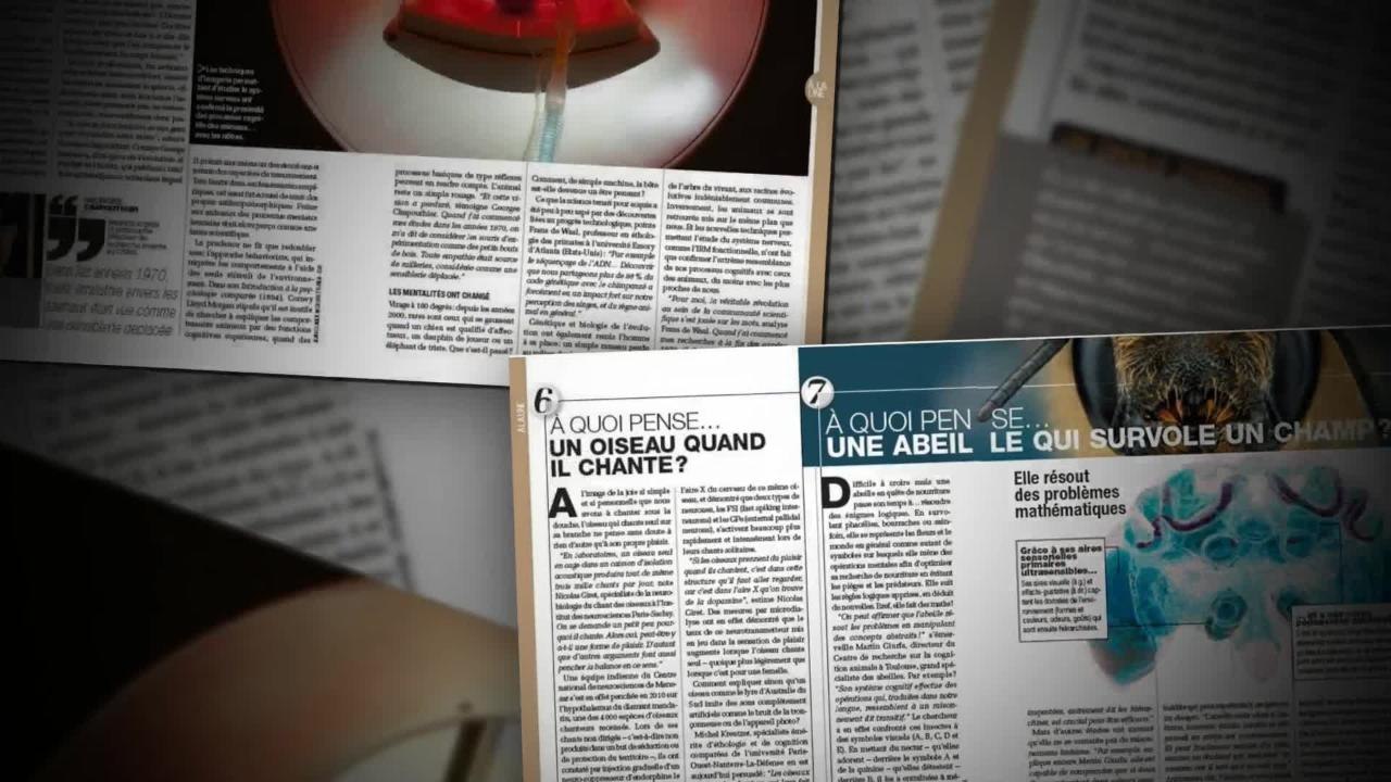 Découvrez quelques pages de votre Science & Vie n°1192