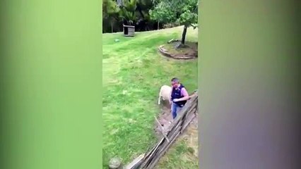 Delja pengon policin në kryerjen e detyrës