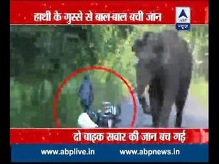 Man vs Wild : Elephant's rage becomes a nightmare for commuters