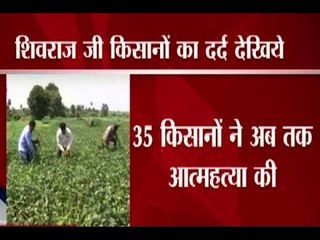 35 debt-laden farmers have committed suicide in Madhya Pradesh : Special Report