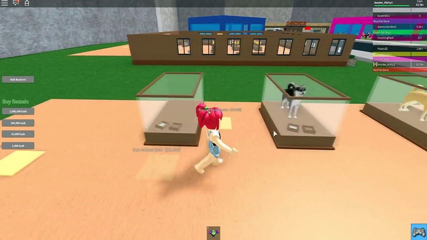 Roblox Pet Shop Tycoon Meet My Doge Amy Lee33 - amy lee roblox