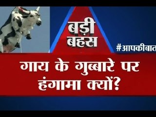 Big Debate: Why this furore over the cow dummy hung in Jaipur Art Summit