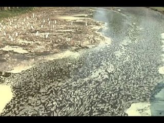 Zehar Ke Khilaaf Jung : 'Cancer villages' of South UP did not vote as a protest against In