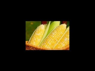 Stay fit in 2 mins: Diabetic patients should avoid eating corn flour