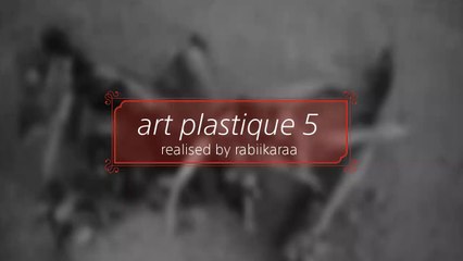 Art Plastique 5