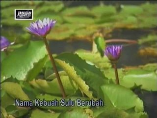 Nama Kebuah Sulu Berubah - Yanee