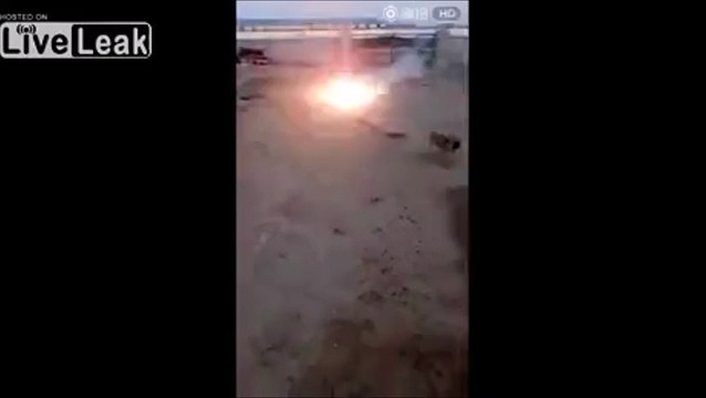 Ces débiles ont attaché des pétards à la queue d'un chien... Le pauvre