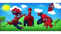 Spiderman Finger Family Nursery Rhymes 3D Spiderman Cartoon Animation Nursery Songs for Kids