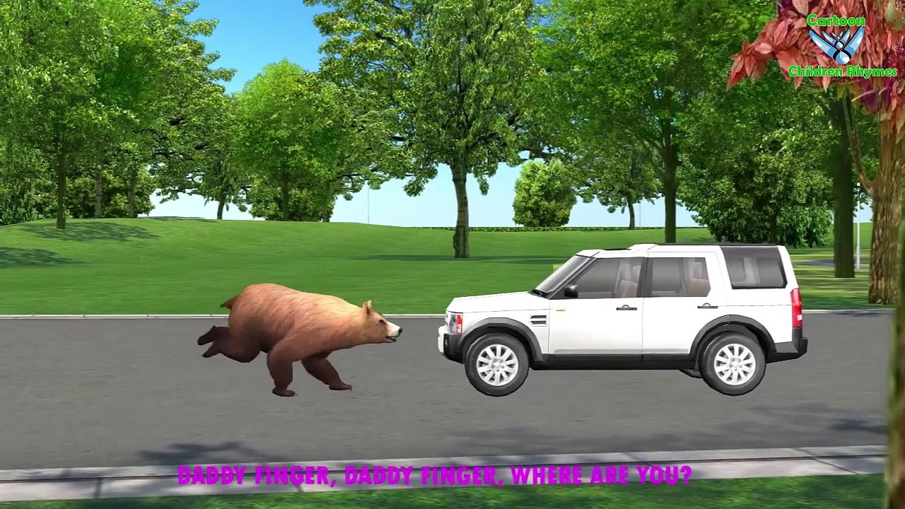 Finger Family Bear Family Rhymes | Animals Cartoon Finger Family Rhymes